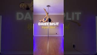 Daisy Split Tutorial [upl. by Ellehsar106]