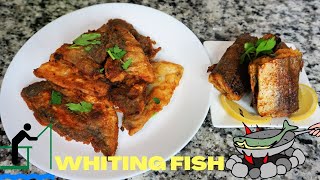 HOW TO COOK WHITING FISH SHORTS FRIED AND BAKED [upl. by Bink]