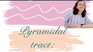 Descending Tracts  Corticospinal Tract  Pyramidal Tract [upl. by Amyaj]