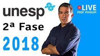 Unesp Segunda Fase 2018  Física [upl. by Rednirah]