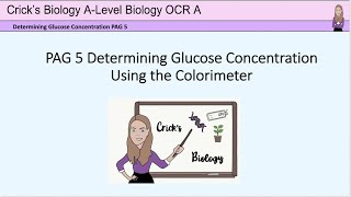 Determining glucose concentration using a colorimeter PAG5 Alevel biology practicals cricksbiology [upl. by Skolnik]