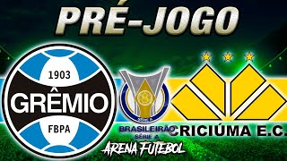 GRÊMIO x CRICIÚMA Campeonato Brasileiro  Narração [upl. by Acisset395]