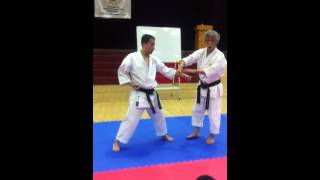 Application of Seiunchin Kata 27 [upl. by Nehgaem]