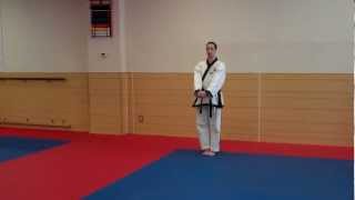 Bassai Dai instructional Warren Levi Karate [upl. by Weasner]