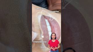 How dark lip neutralization works lipblushing darklipcorrection pmu viralvideo lipfiller [upl. by Etnoek]