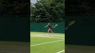 Paolini is on the grass and is also very wonderfultennis WTA Paolini [upl. by Haiel]