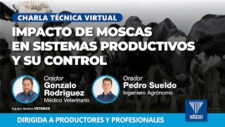 IMPACTO DE MOSCAS EN SISTEMAS PRODUCTIVOS Y SU CONTROL [upl. by Asirrom]