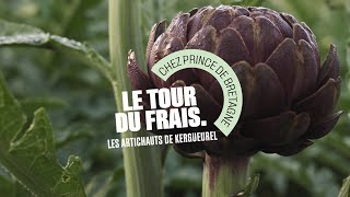 Grand Frais  Le Tour du Frais avec André producteur d’Artichaut de Kerbueurel [upl. by Edwina645]