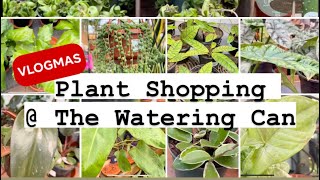 Plant shopping  The Watering Can vlogmas [upl. by Deuno643]