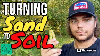 Converting Sand into LIVING Soil  Permaculture QampA 17 [upl. by Parsifal473]