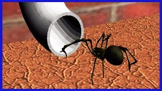 Incy Wincy Spider  Nursery Rhyme Video  Cartoons For Toddlers  Learning Videos For Babies [upl. by Ayoral299]