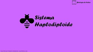 Sistema Haplodiploide [upl. by Jemie]