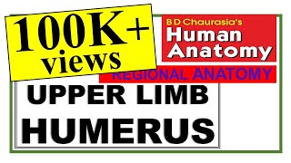 Chp2  HUMERUS  Upper Limb Bones  BD Chaurasia Regional Anatomy  Dr Asif Lectures [upl. by Nanice261]