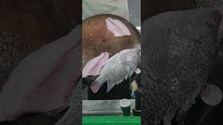 Black Tilapia Fillet fypシ゚viral fishfillet cuttingskils [upl. by Hatokad419]