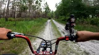 Mini Bikes on Florida Trails [upl. by Eixor]