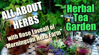 88 Herbal Tea Garden  Morningsun Herb Farms 8video series quotALL ABOUT HERBSquot with Rose Loveall [upl. by Seuqcaj]