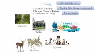 Introduction to Environmental Studies [upl. by Sadick]