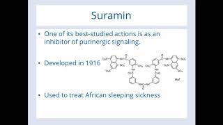 Suramin Clinical Trial Results in Autism [upl. by Bunker]