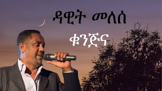 Dawit Melese  Kunjina  ዳዊት መለሰ  ቁንጅና lyrics [upl. by Eeleak]