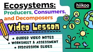 Ecosystems amp Food Webs for Kids Producers Consumers Decomposers 5LS21 🌱🪱🦅 [upl. by Cacka122]