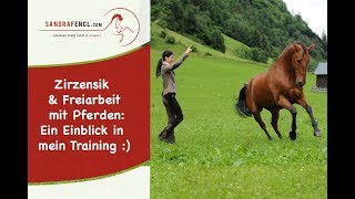 Zirzensik amp Freiarbeit Einblick in den Trainingsalltag von Sandra Fencl [upl. by Laughton]