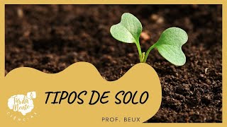 TIPOS DE SOLO  Ensino Fundamental [upl. by Tatum966]