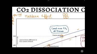 CO2 DISSOCIATION CURVE  PHYSIOLOGY [upl. by Jillie]