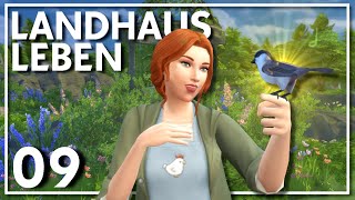 Endlich ein eigenes Hasenhaus  Die Sims 4 LandhausLeben  Part 09 [upl. by Aneehsram]