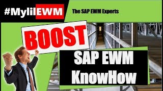 BOOST your SAP SCM EWM KnowHow  Outbound Process and Picking  Tutorial [upl. by Aztinay]