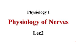 Resting Membrane Potential RMP Lec2 Physiology I [upl. by Debee]