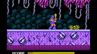 Astyanax NES  No Death Walkthrough [upl. by Irrek]