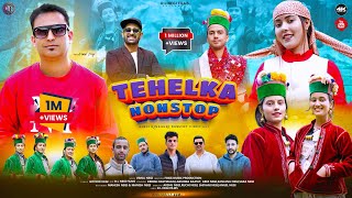 Tehelka  Vimal Negi  Latest HindiKinnauri Video 2024  Latest Himachali Song 2024 [upl. by Eggleston]