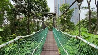 canopy walk [upl. by Wesa]