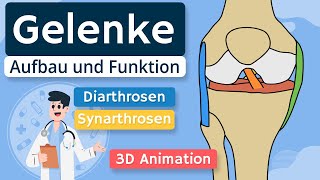 Gelenke  Aufbau und Funktion einfach erklärt  3D Animation [upl. by Lewendal]