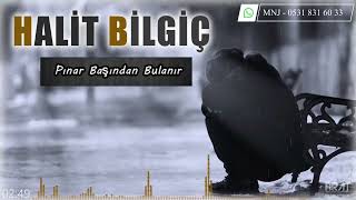 Halit Bilgiç  Pınar Başından Bulanır [upl. by Nalad]