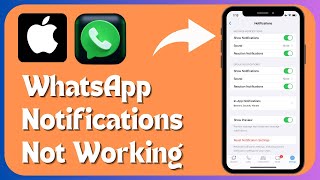 How to Fix ‘WhatsApp Notifications Not Working’ in iPhone  iPad  iOS 17 [upl. by Oedama]