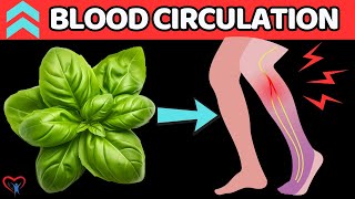 Discover 7 Super Herbs to Enhance Blood Circulation in Your Legs [upl. by Cooke]