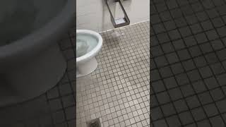 Kid overflows School Toilet [upl. by Laith134]