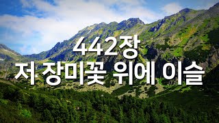 찬송가연속듣기 저 장미꽃 위에 이슬새찬송가 442장매일찬송 광고없는찬송가 찬송가베스트 찬송 찬송가 연속 듣기은혜찬송찬송가 [upl. by Netnilc]