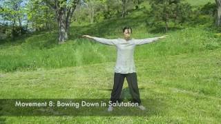 Advanced Qigong Yi Jin Jing 易筋经 quotMuscleTendon Change Classicquot [upl. by Arraic543]