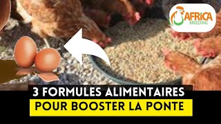 3 Formules Alimentaires Pour BOOSTER LA PONTE des Poules Pondeuses Facilement [upl. by Nnylodnewg185]