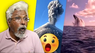 Dad reacts to Unbelievable Moments 🤯 [upl. by Eterg]