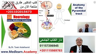 Localization of Neurological Lesions Part 1 [upl. by Durrace10]