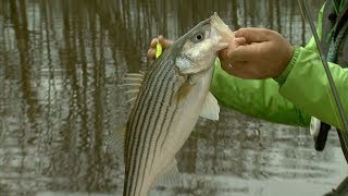 Winter Fishing on the Roanoke [upl. by Aztinaj]