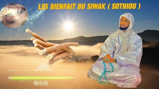 Les bienfait du siwak  sothiou [upl. by Latrell]