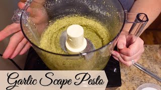 Garlic Scape Pesto Recipe  How To Make Garlic Scape Pesto  How To Use Garlic Scapes [upl. by Mages]