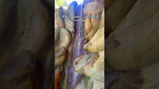 Natural Park on Phu Quoc Island Vietnam travel phuquoc amazing island country foryou shorts [upl. by Aicssej]