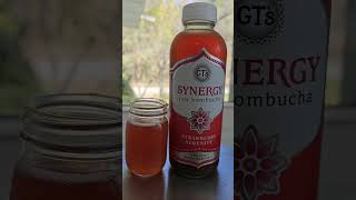 GTs Strawberry 🍓 Serenity kombucha review [upl. by Fennie]