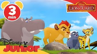 The Lion Guard  Paintings and Predictions  Disney Junior UK [upl. by Yelruc]