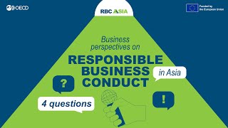 Business perspectives on Responsible Business Conduct in the AsiaPacific region [upl. by Borrell]